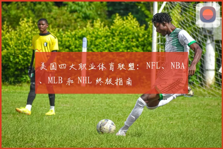 美国四大职业体育联盟：NFL、NBA、MLB 和 NHL 终极指南